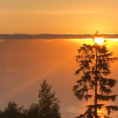 Ocean Melody Vacation Rooms Nanaimo Bagian luar foto